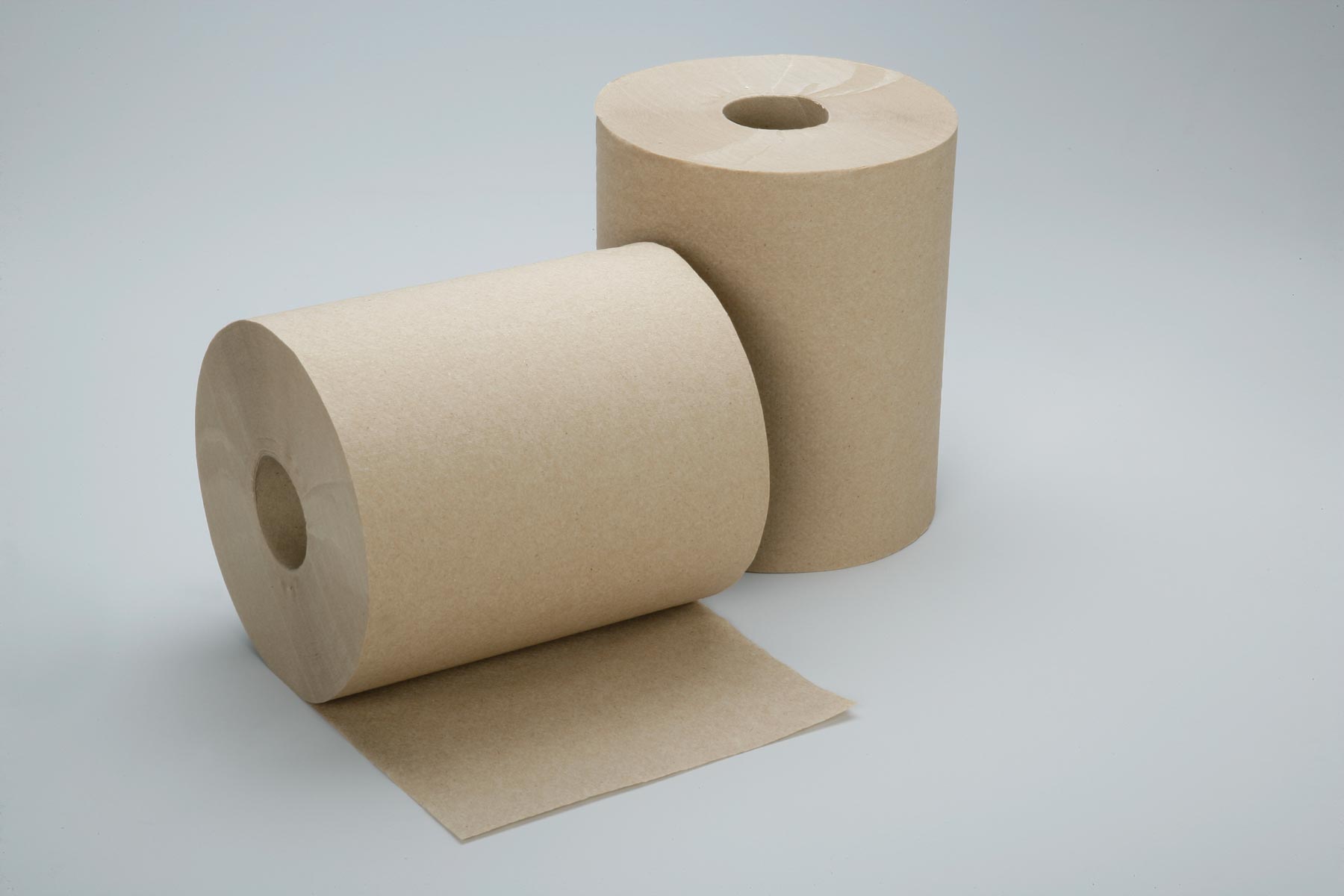 CONTINUOUS ROLL PAPER TOWEL, 8" X 600FT,