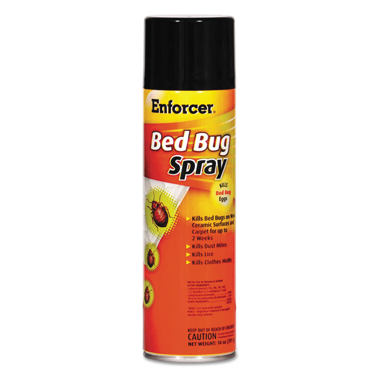 INSECTICIDE,FL/BD BG,14OZ