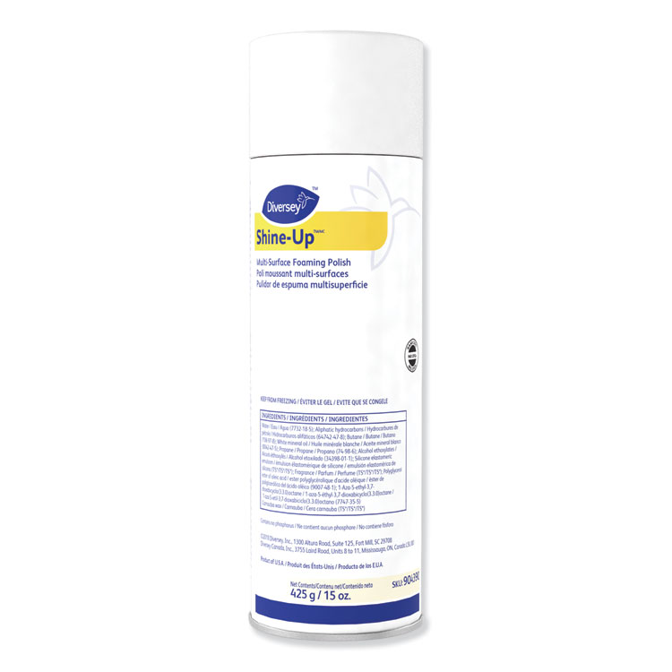 CLEANER,FOAM SPRY12/15OZ