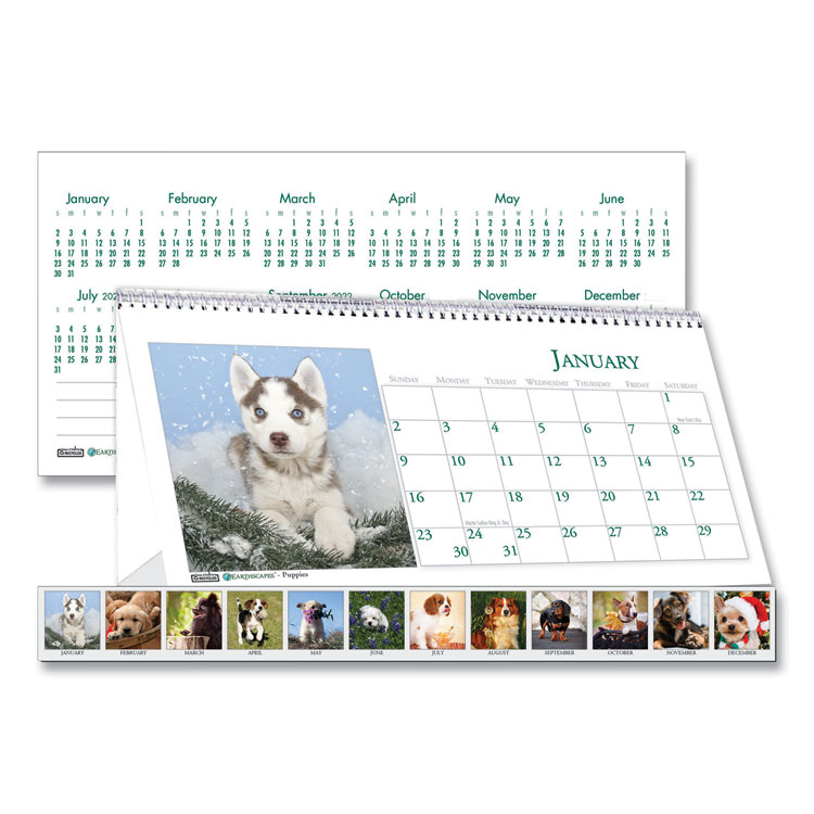 2023 Earthscapes Puppies Desk Tent Calendar