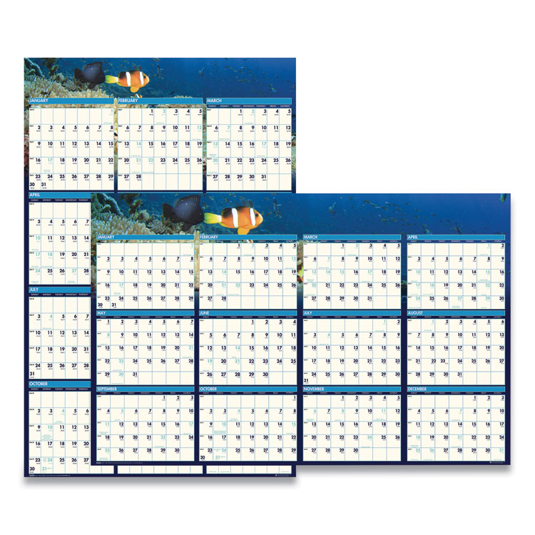 2023 Sea Life Erasable Calendar, 24x37 | Access Products Inc