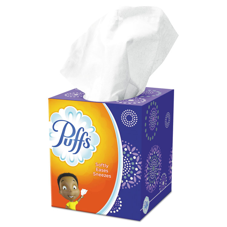 Puffs Everyday Facial Tissues 24BX/CT