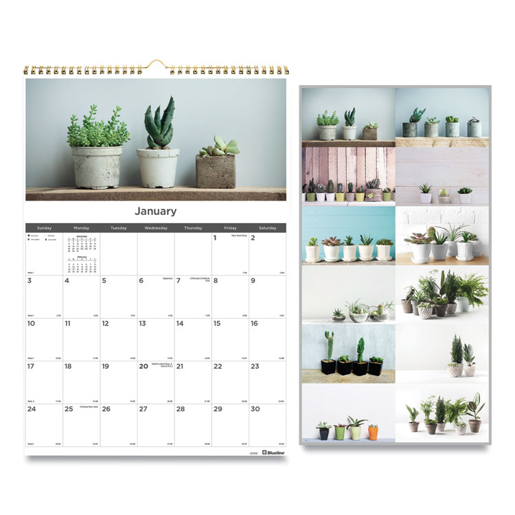 2023 Succulent Plants Wall Calendar, 12x17